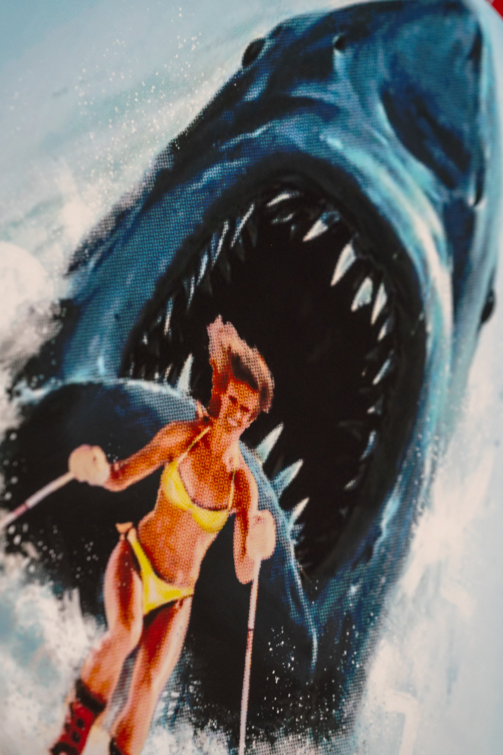 Sharky - Art Print