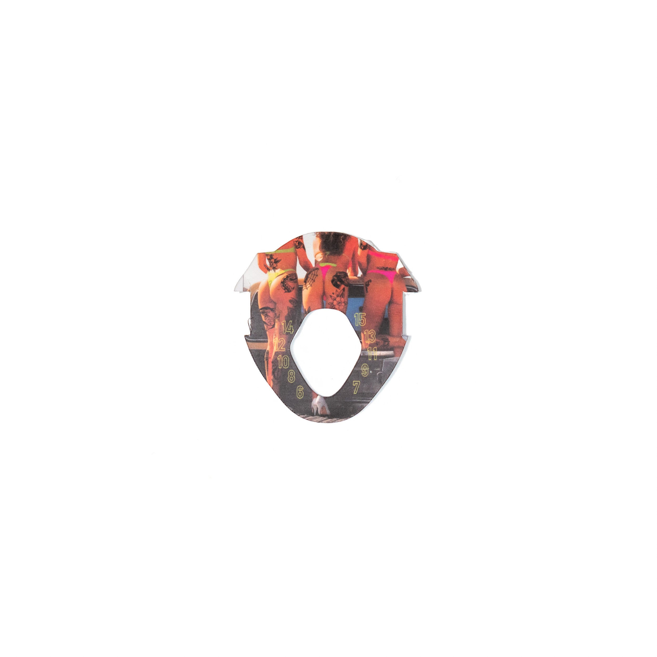 DIN Insert - Pivot 15 Binding